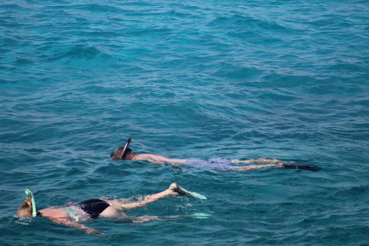 Coral Princess Hotel & Dive Resort Cozumel Dış mekan fotoğraf